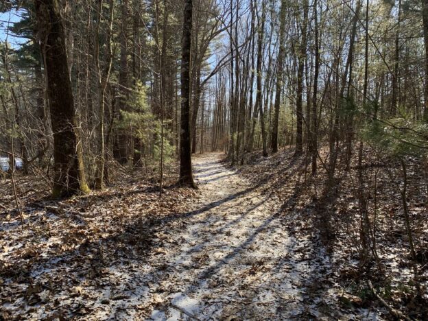 The Lane