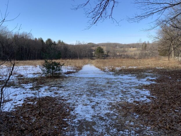 View from the Upper Meadow