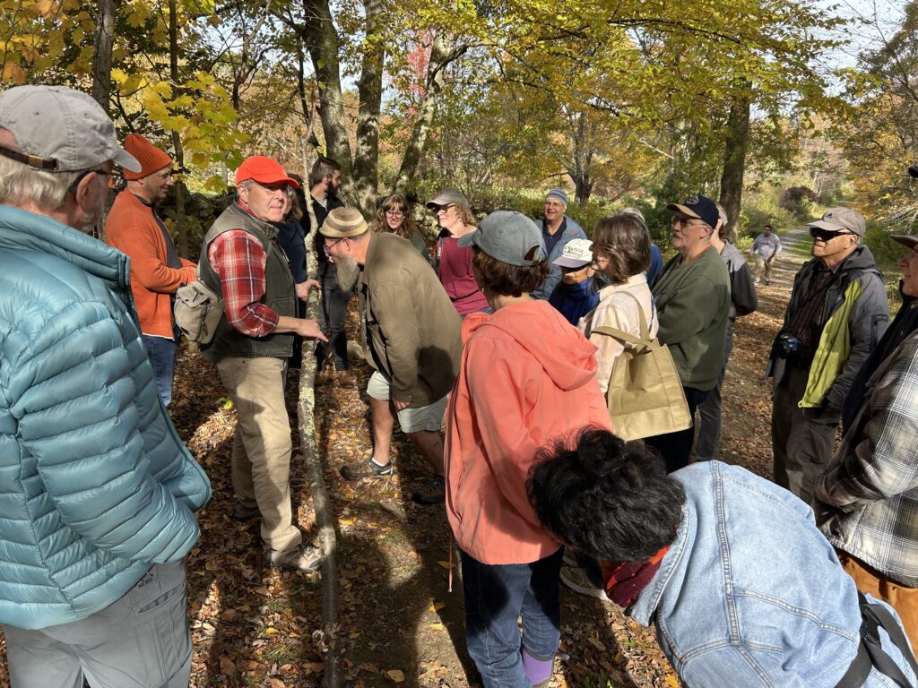 Participants