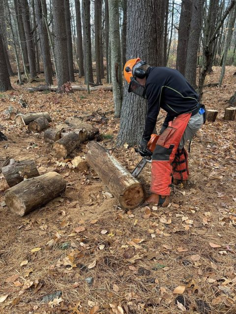 Hewitt Heiserman Cutting