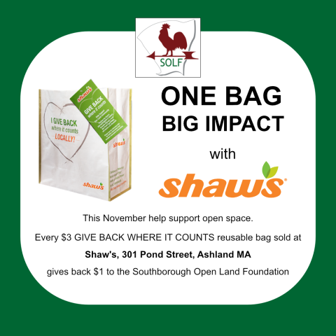 Shaws Square with Affinity